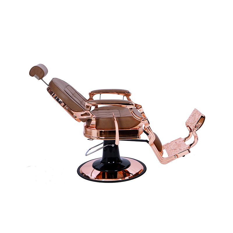 HZ87101BR Brown retorta backrest capillus Salon specialis sella