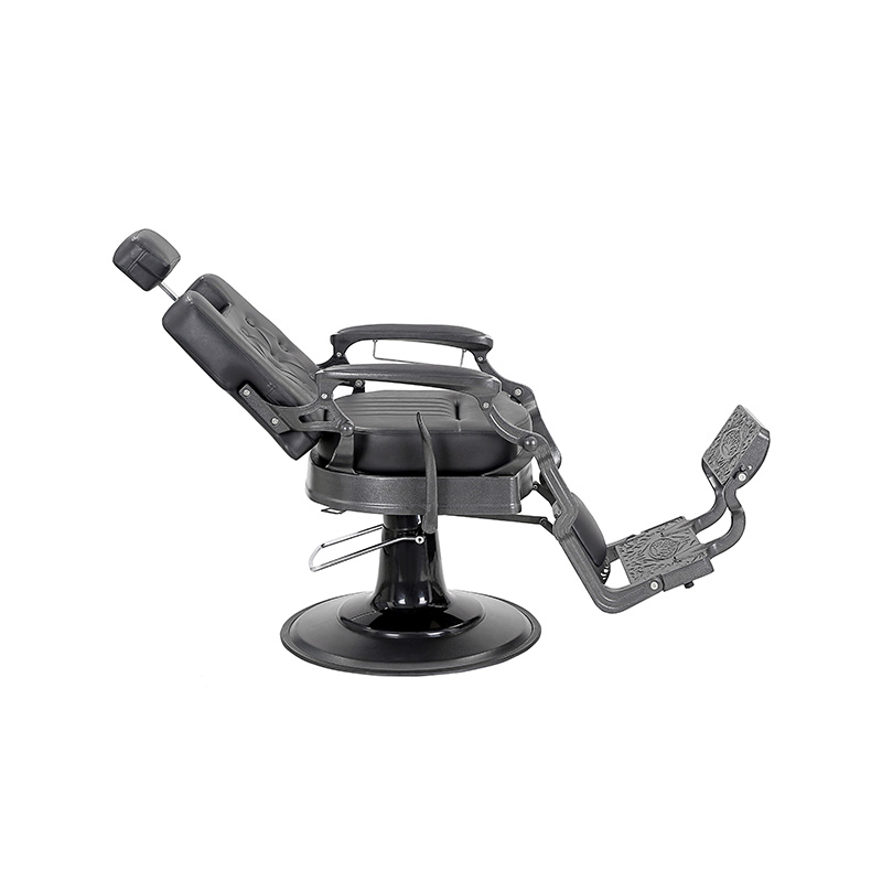 HZ8799FB Cathedra salon niger nitens hydrau