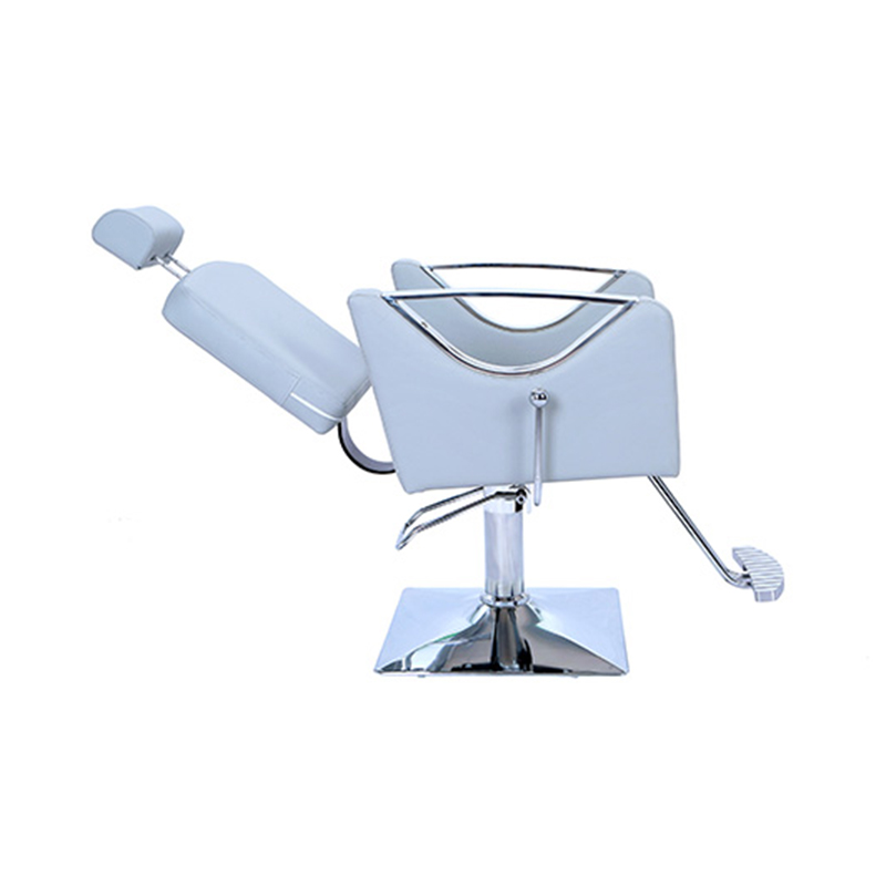 HZ8848C Canes caerulei grisei salon