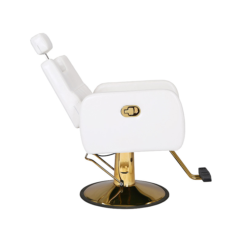 HZ88200 White and gold, professional black and gold salon chair
