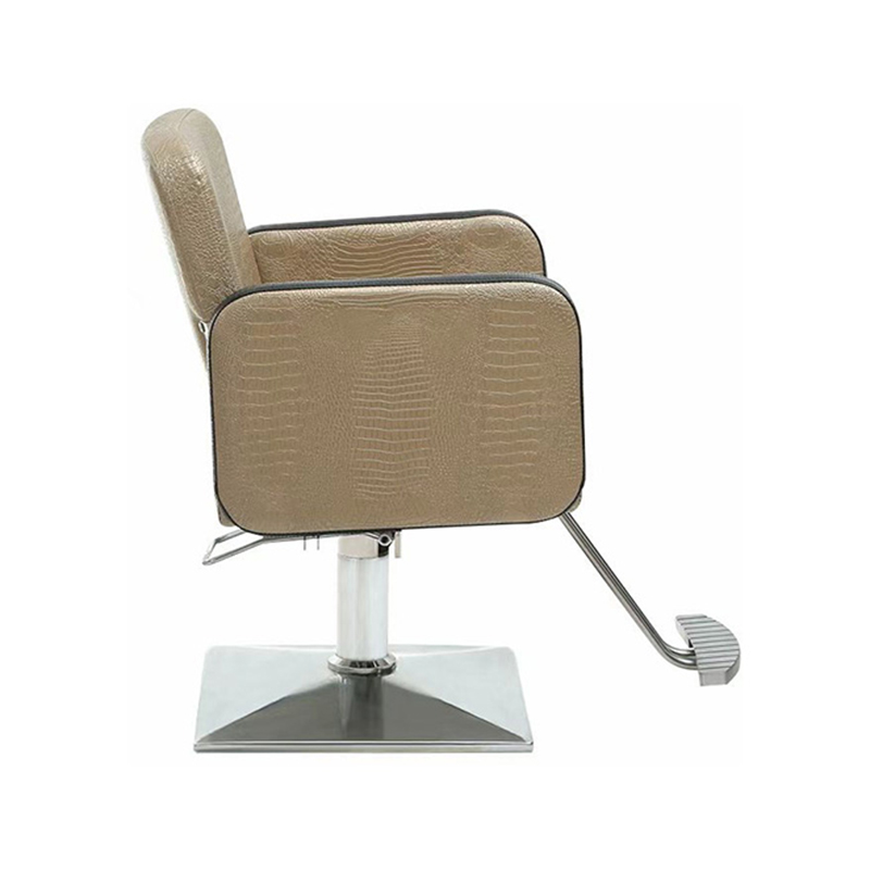 HZ88103 Purpura professionalis hairdressing texting chair