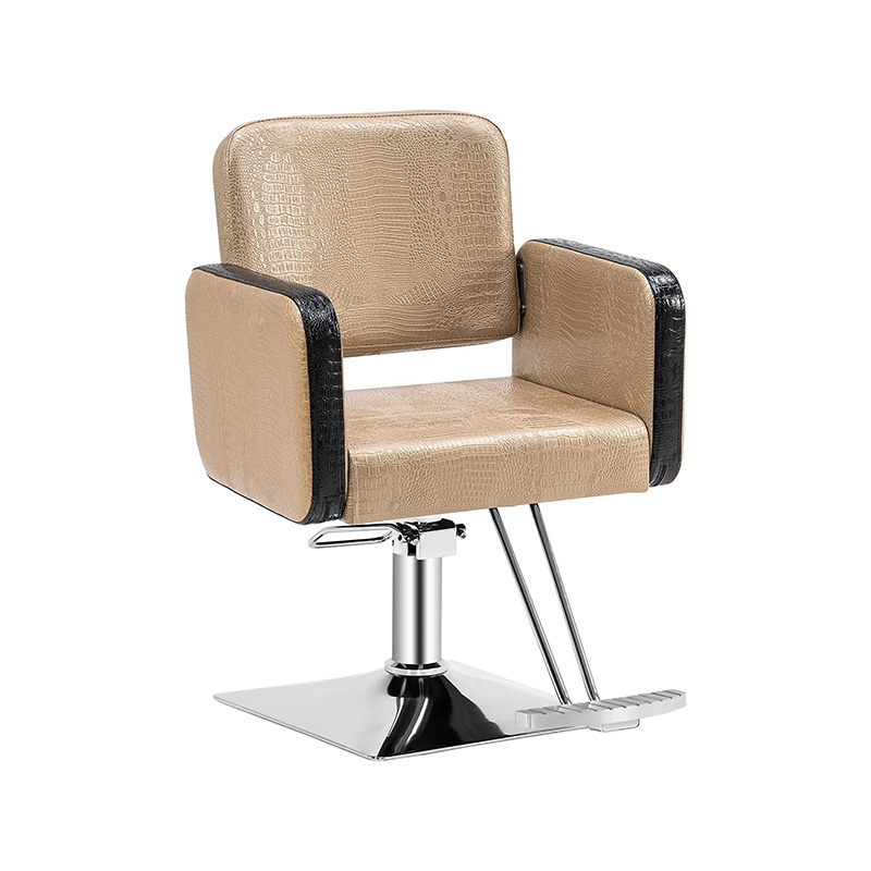 HZ88103 Purpura professionalis hairdressing texting chair