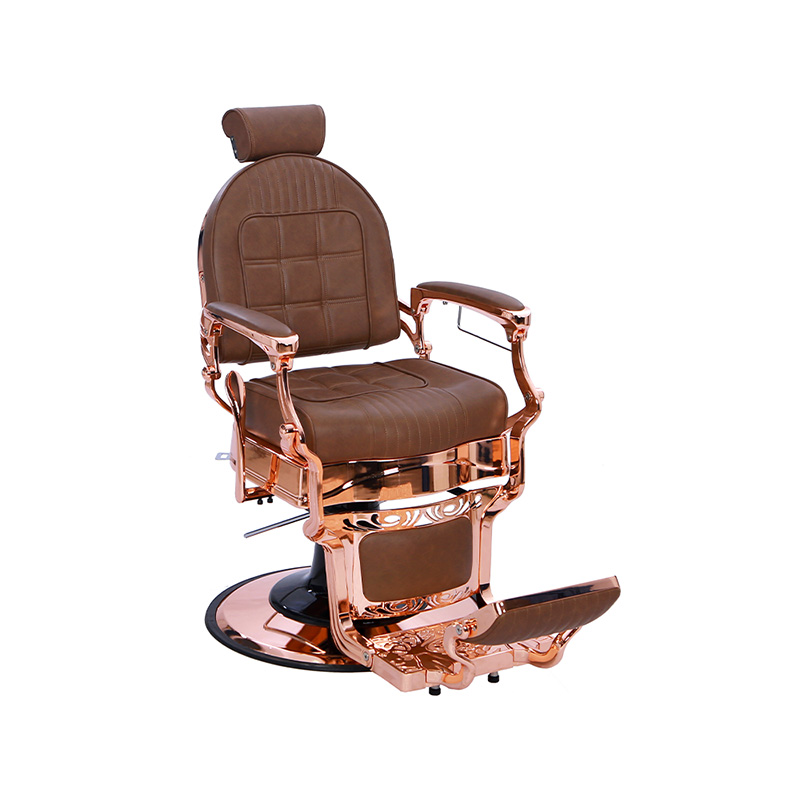 HZ87101BR Brown retorta backrest capillus Salon specialis sella