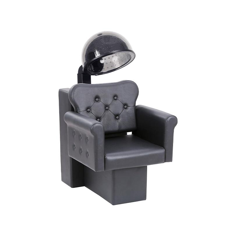 HZ9042 Pro salon capillus siccior et sella combo